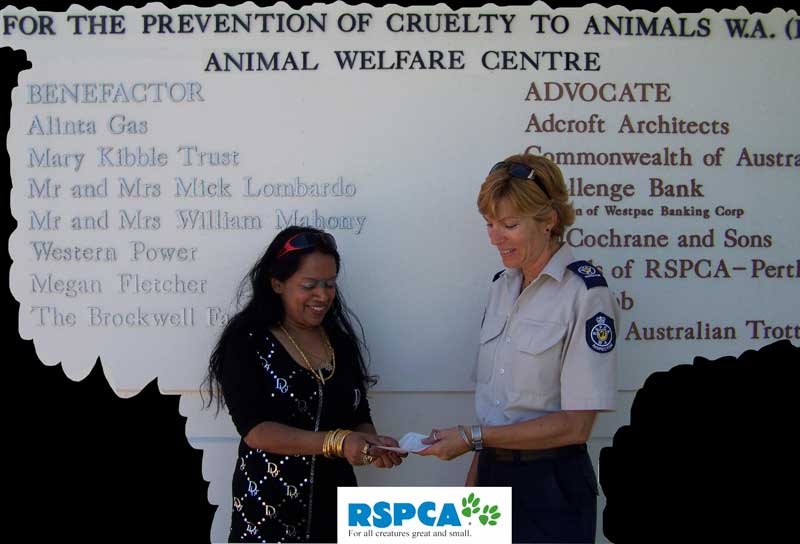 rspca-photo-editing-good-MIDDLE